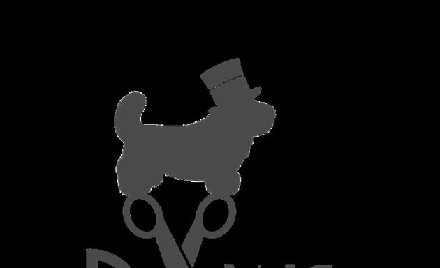 Photo of Paws of Cheshire Dog Grooming