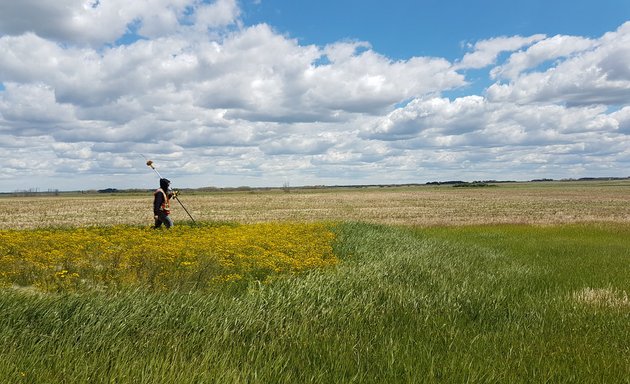 Photo of Webb Surveys