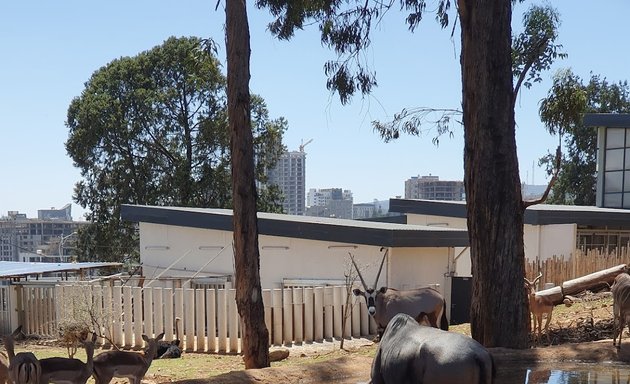Photo of Unity Park Zoo
