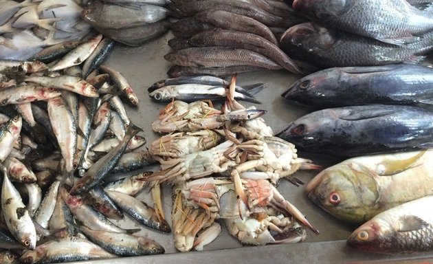 Photo of Mangaluru fish stall