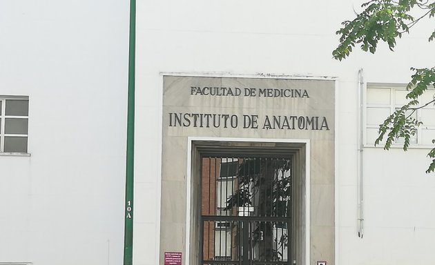 Foto de Facultad de Medicina . Universidad de Sevilla