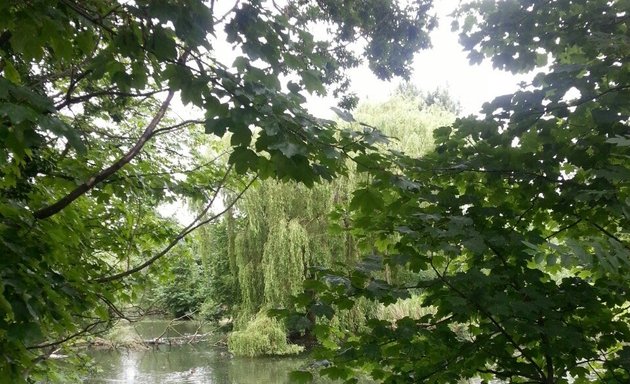 Photo of Fishponds Park