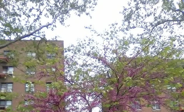 Photo of Annadale Playground