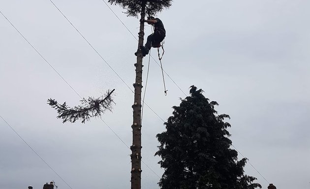 Photo of Tree Doctors