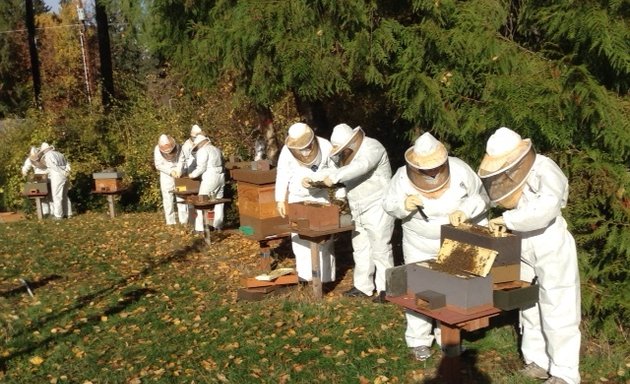 Photo of Bees Incorporated