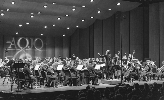Photo of The Mount Royal Youth Orchestra