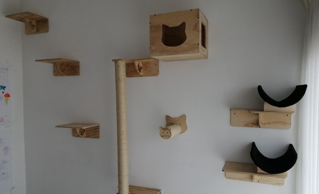 Foto de Gimnasios para gatos los mininos