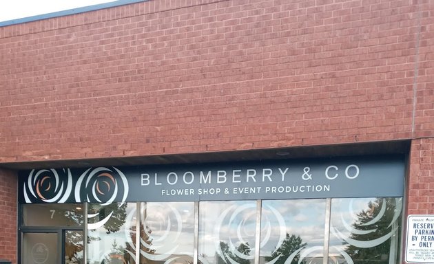 Photo of Bloomberry & Co