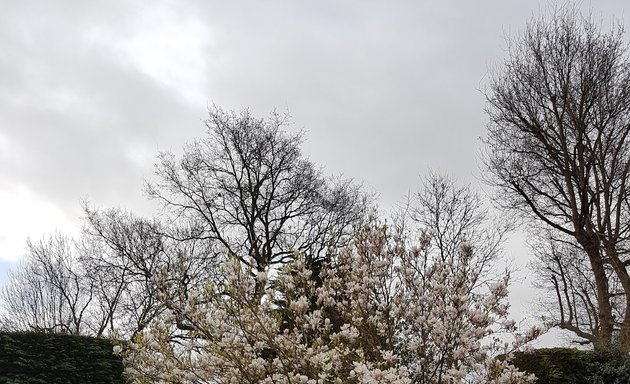 Photo of Bird Sanctuary