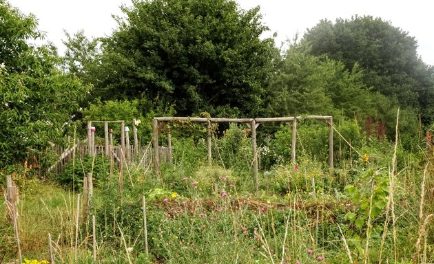 Photo de Jardin de la Maison du Ronceray