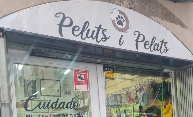 Foto de Peluts I Pelats Barceloneta, peluquería canina