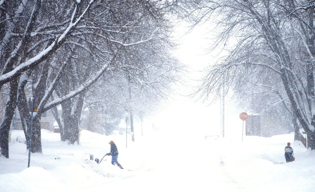 Photo of Shovelled - Snow Clearing & Lawn Care