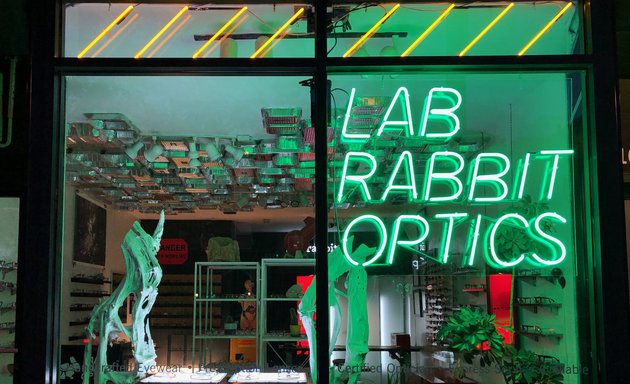Photo of Lab Rabbit Optics