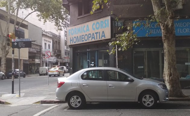 Foto de Formica Corsi Homeopatía