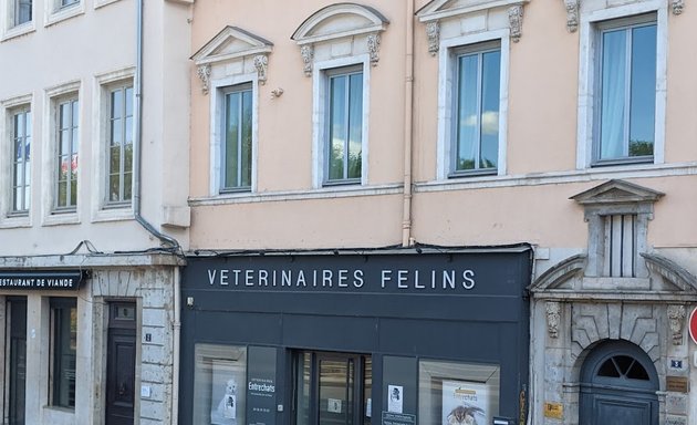 Photo de Vétérinaires félins - Entre Chats - Vétérinaires réservés aux chats