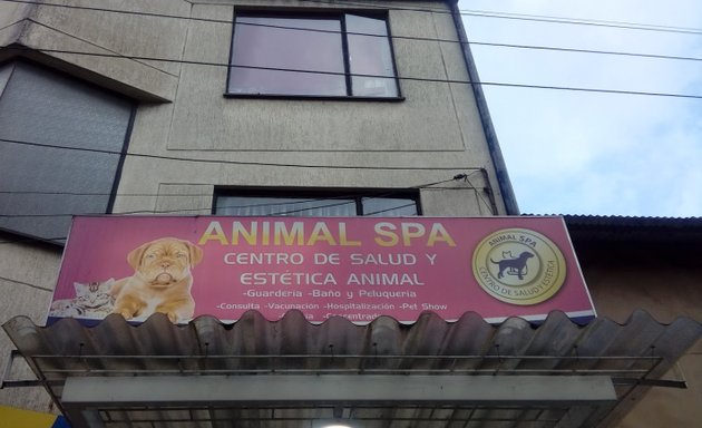 Foto de Animal Spa