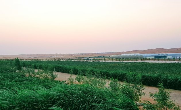 Photo of Emirates Bio Farm مزرعة الامارات البيولوجية