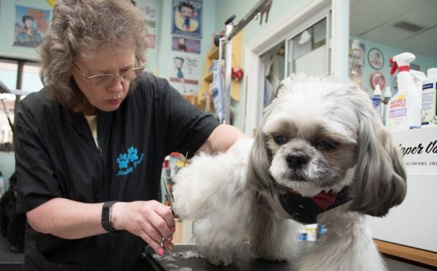 Photo of Muddy Paws Pet Food, supplies & Grooming Salon