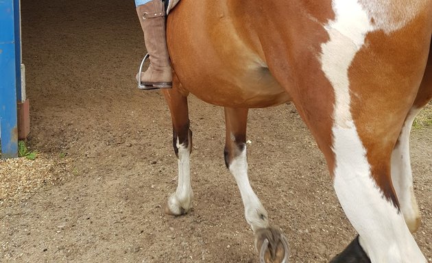 Photo of Littlebourne Equestrian Centre