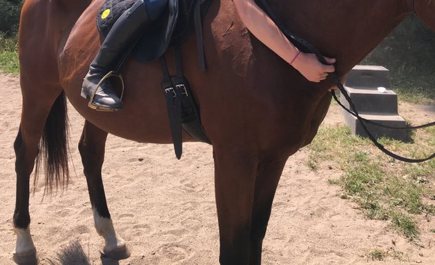 Photo of Southport Equestrian Center