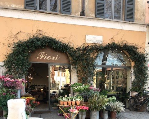 foto CLORI - Vendita piante e fiori, oggettistica, arredamento casa Milano Porta Romana