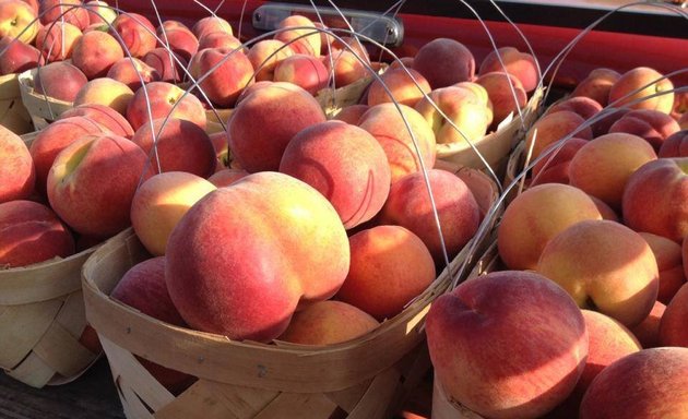 Photo of Hip Donelson Farmers Market