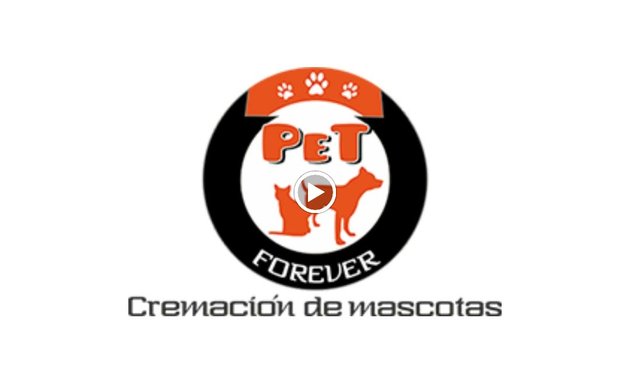 Foto de Cremación de Mascotas - Pet Forever