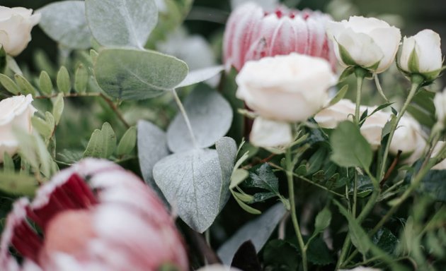 Foto de Flores Auro