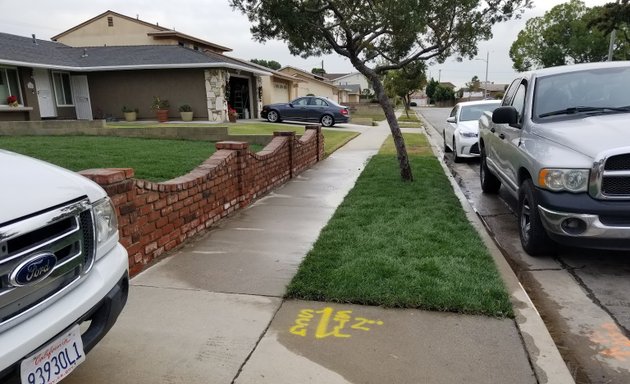 Photo of Sub Landscaping