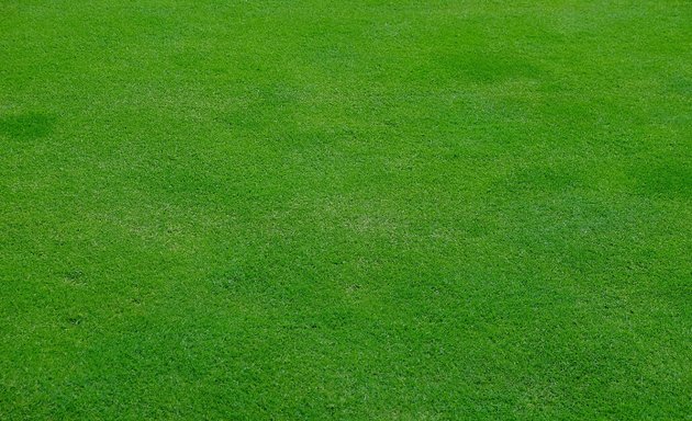 Photo of Alan & Lyn's Lawnmowing