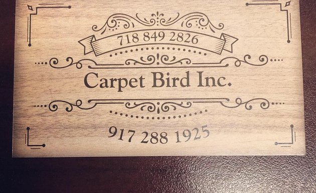 Photo of Carpet Bird