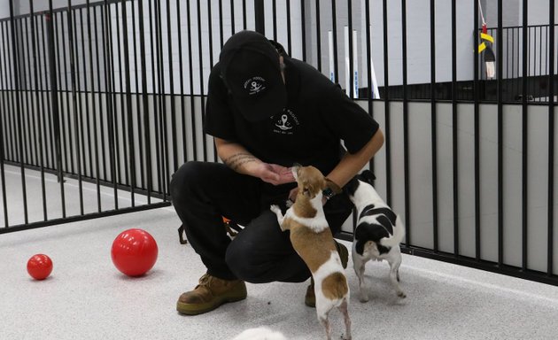 Photo of Hoochy Poochy Doggy Day Care - Abbotsford Venue