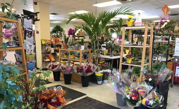 Photo of Truspeers Garden & Florist