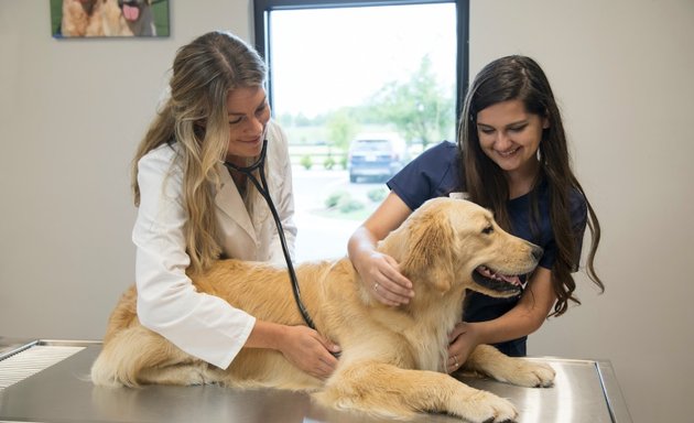 Photo of NewDay Veterinary Care