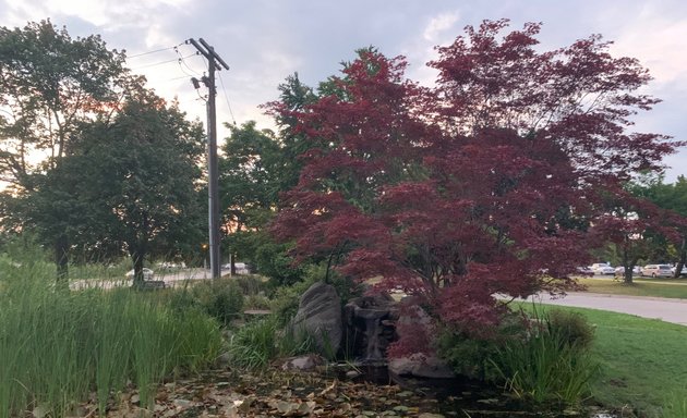 Photo of Centennial Park Arena