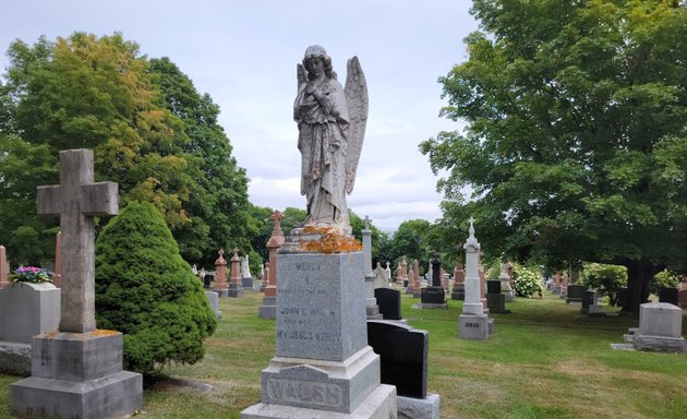 Photo of St Patrick's Cemetery