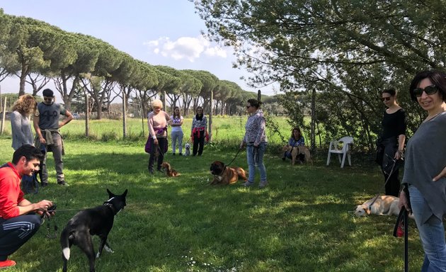 foto Centro di Psicologia Canina Roma - Addestramento Cani