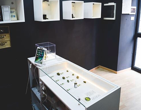 foto L’oracolo di bob 3 cannabis shop h24 Roma