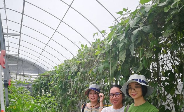 Photo of Aquaponics Science Park Sdn Bhd