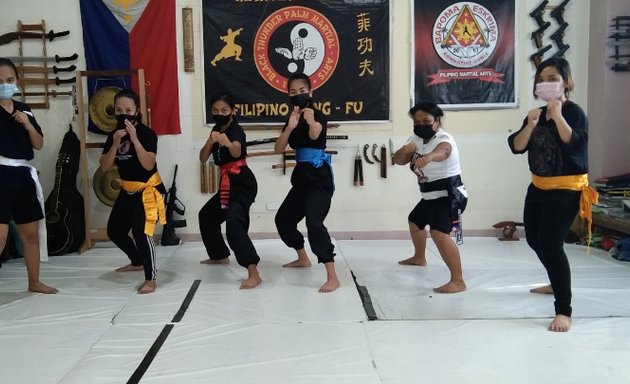 Photo of Black Thunder Palm Martial-arts