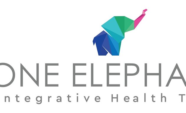 Photo of One Elephant Integrative Health Team