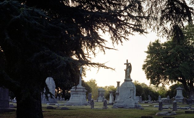 Photo of Elmwood Cemetery