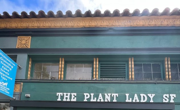 Photo of The Plant Lady SF