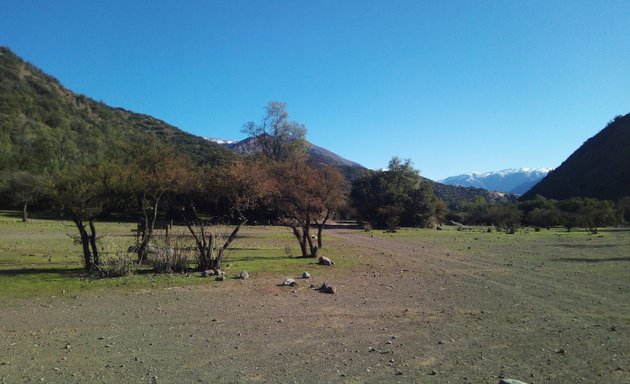 Foto de Bosque Espino, Reserva Coyanco