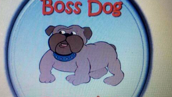 Photo of Boss Dog Grooming