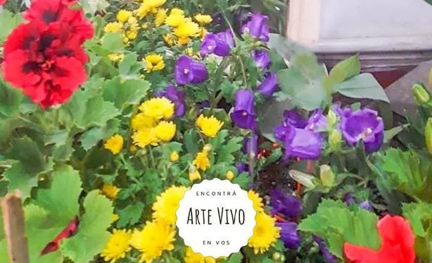 Foto de ARTE VIVO - Vivero de plantas online en Córdoba