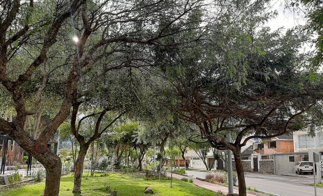 Foto de Parque lineal Escuela de Bomberos