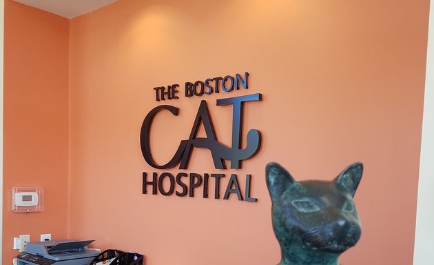 Photo of The Boston Cat Hospital