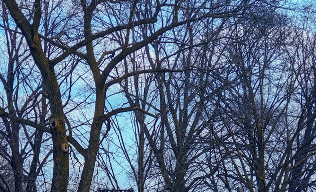 Photo of Woburn Avenue Playground