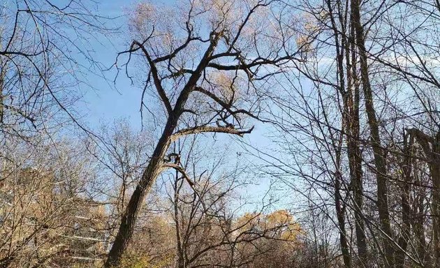 Photo of Tannery Pond Park